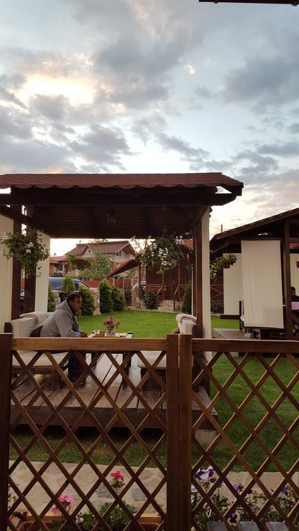 Pensiunea Valea Argesului Albestii Paminteni Ngoại thất bức ảnh